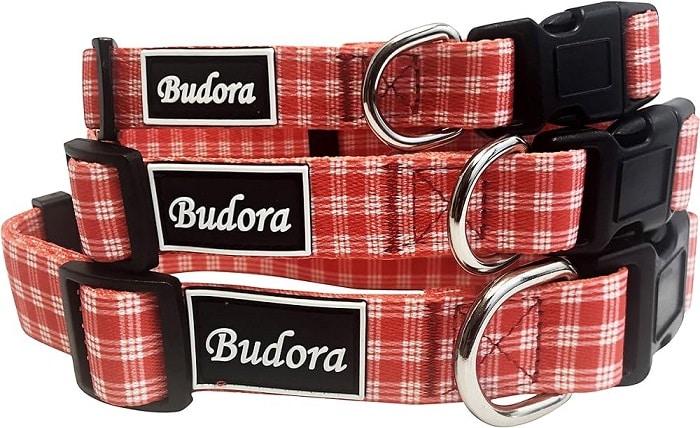 Budora