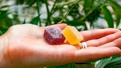 CBD Gummies