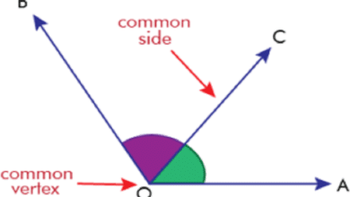 Adjacent Angles