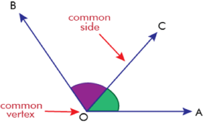 Adjacent Angles