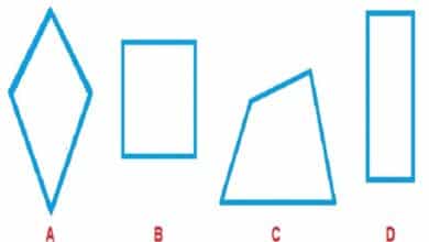 Rhombus Shape