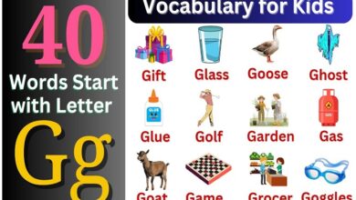 Words That Start with G