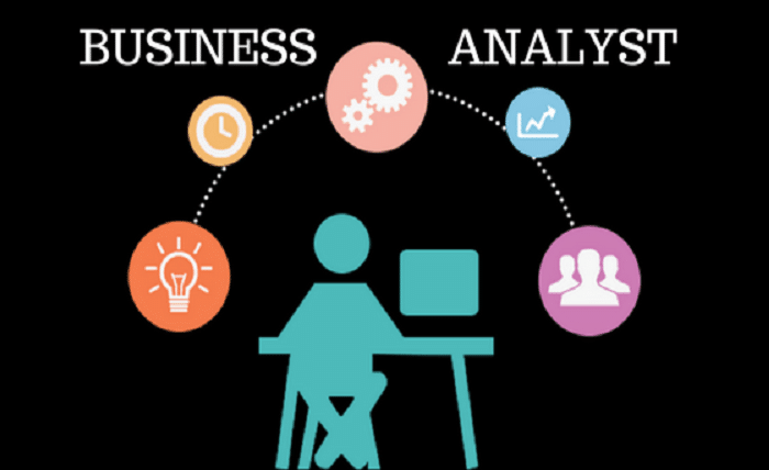 Business Analyst